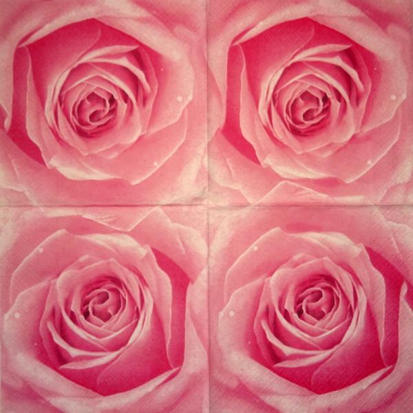 029 Roses - 3-ply (blue)